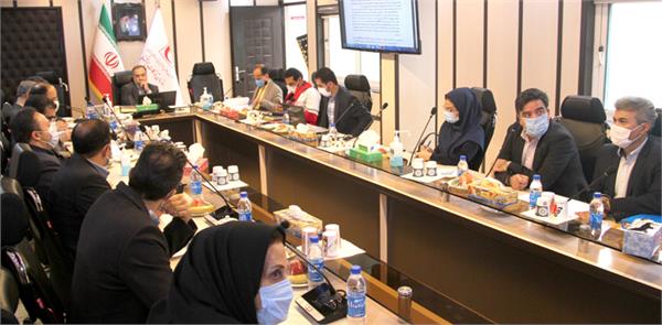 Assessing subsidiary companies' performance in annual General Assembly meeting