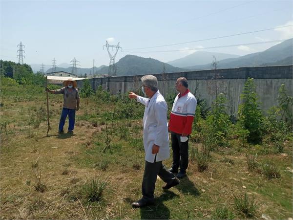 بازدید مدیرعامل شرکت سهاجیسا از کاشت نهال برگ بو