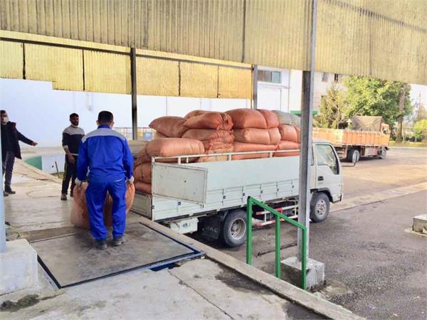 خرید گیاه جهت تولید عصاره خشک