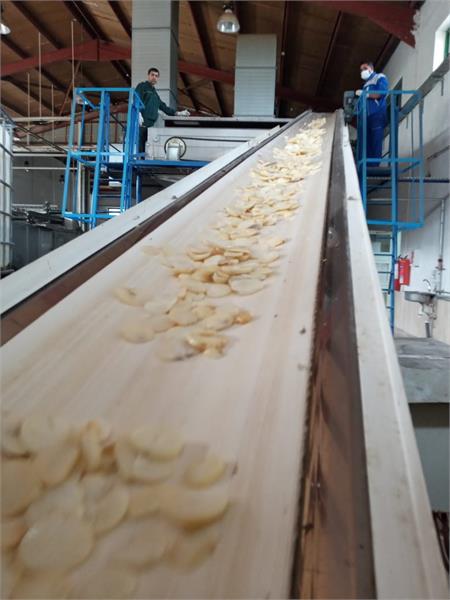 بازدید هیئت مدیره شرکت سها جیسا از خط تولید و فرآوری سیر و موسیر خشک