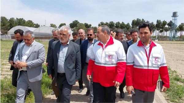 طرح مشترک کشت گیاهان دارویی با دانشگاه آزاد البرز