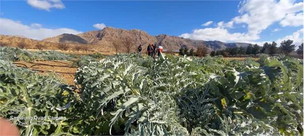 چهارمحال بختیاری