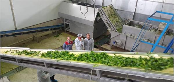 بازدید دکتر شانه ساز از سهاجیسا