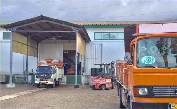 خرید گیاه جهت تولید عصاره خشک