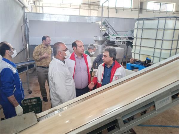 بازدید هیئت مدیره شرکت سها جیسا از خط تولید و فرآوری سیر و موسیر خشک