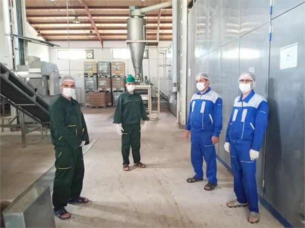 بازدید هیئت مدیره شرکت سها جیسا از خط تولید و فرآوری سیر و موسیر خشک