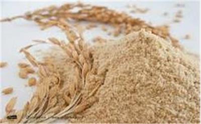 Rice bran