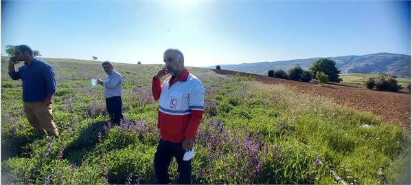 بازدید مدیر عامل شرکت سها جیسا از مزارع کشت گیاهان دارویی