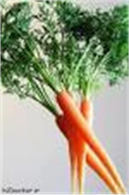 Carrot