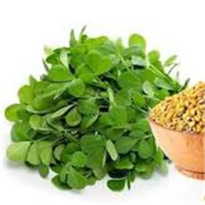 Fenugreek