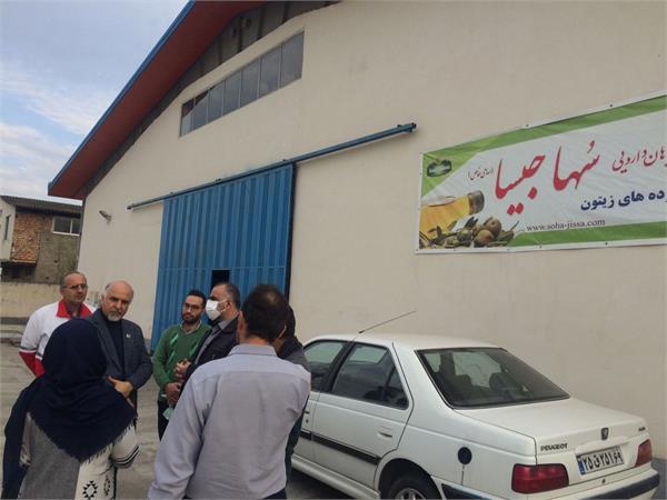 بازدید دکتر نبی مدیر عامل شرکت آرشیا