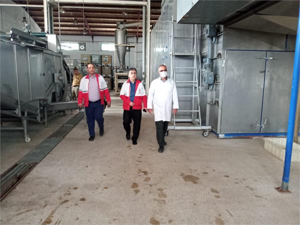 بازدید هیئت مدیره شرکت سها جیسا از خط تولید و فرآوری سیر و موسیر خشک