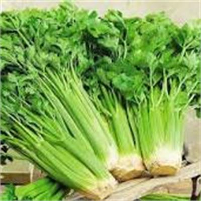 Celery