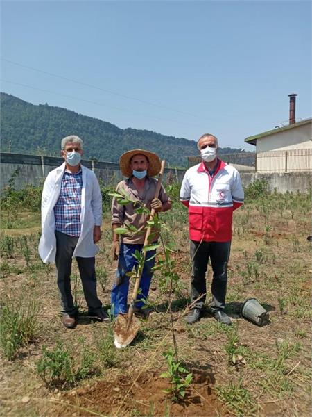 کاشت نهال برگ بو