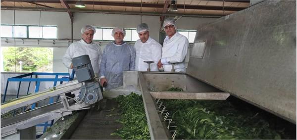 بازدید دکتر شانه ساز از سهاجیسا