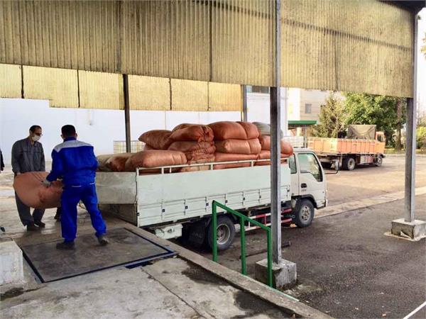 خرید گیاه جهت تولید عصاره خشک